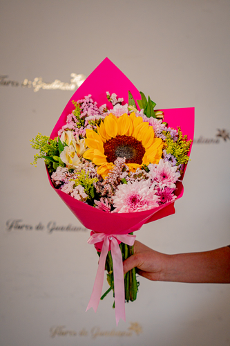 GIRASOL DE PRIMAVERA